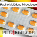 Racine Maléfique Miraculeuse cialis3